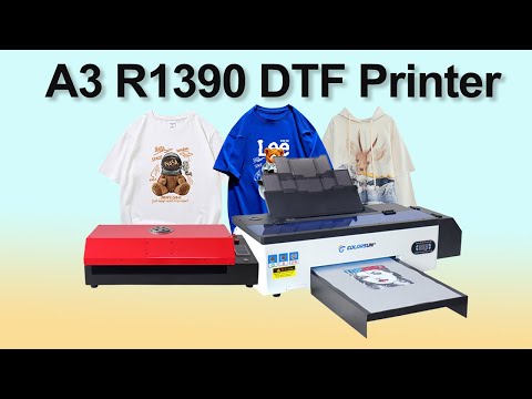 Colorsun 2022 NEW R1390 DTF Printing Step by Step Process on First Desktop DTF Printer