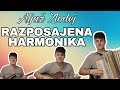 Alja zlodej  razposajena harmonika f miheli  4k