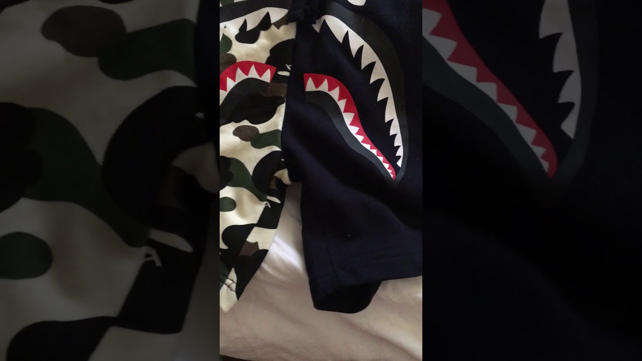 fendi shark hoodie