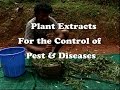 Plant Extracts for the Control of Pest & Diseases