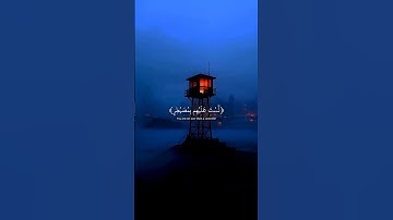 افلا ينظرون الى الإبل كيف خلقت القارئ عبدالرحمن مسعد 🍂🎧تلاوة خاشعة قرآن