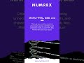 Just 5 Steps to Increase the Speed of Your Website | Numrex