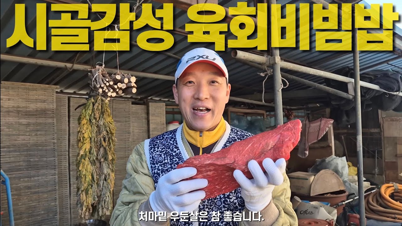 시골밭에서 캔 도라지로 만든 육회 비빔밥 한 그릇!