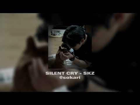 Silent Cry Skz Acapella Echo Effects 