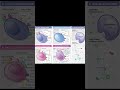 Células invisibles al sistema inmune #cienciasobredosruedas #biologia #bioquimica #quimica #ciencia