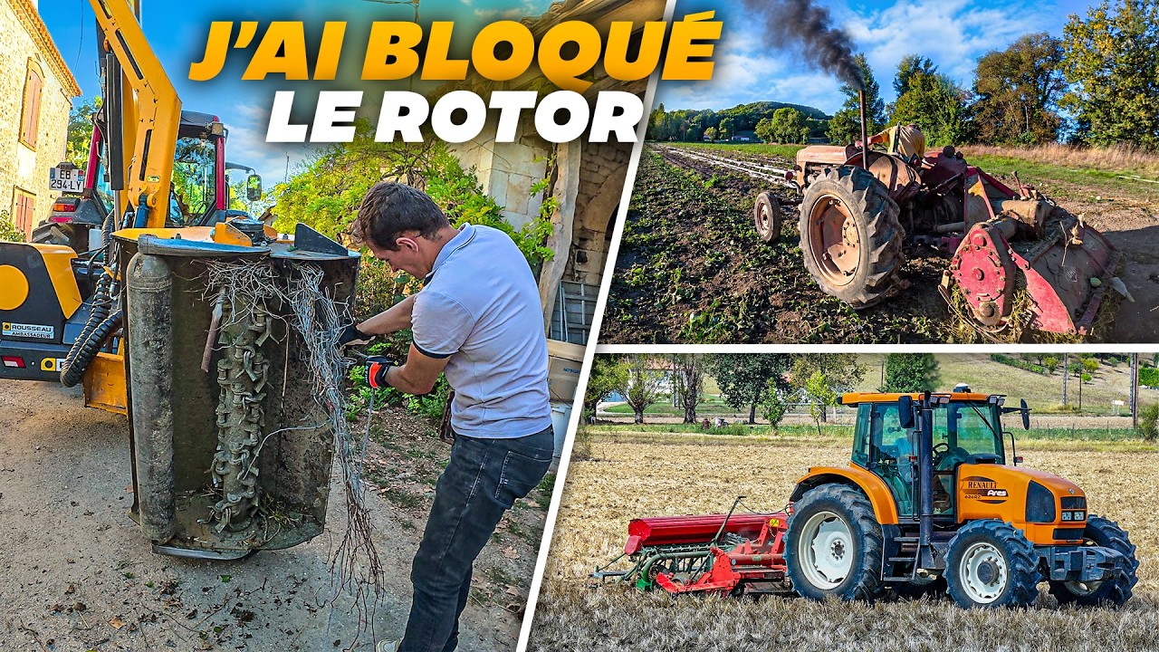 Latest Title & Thumbnail