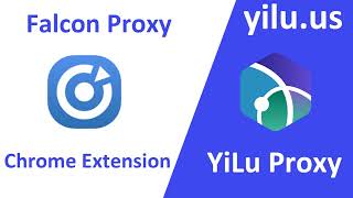 How to use Falcon proxy Chrome extension and YiLu Proxy? screenshot 5
