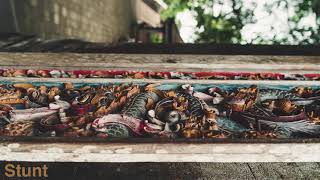 Stunt - Ryan James Salmon