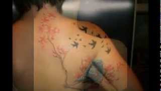 best bird tatto designs |bird tatto images|bird tattos