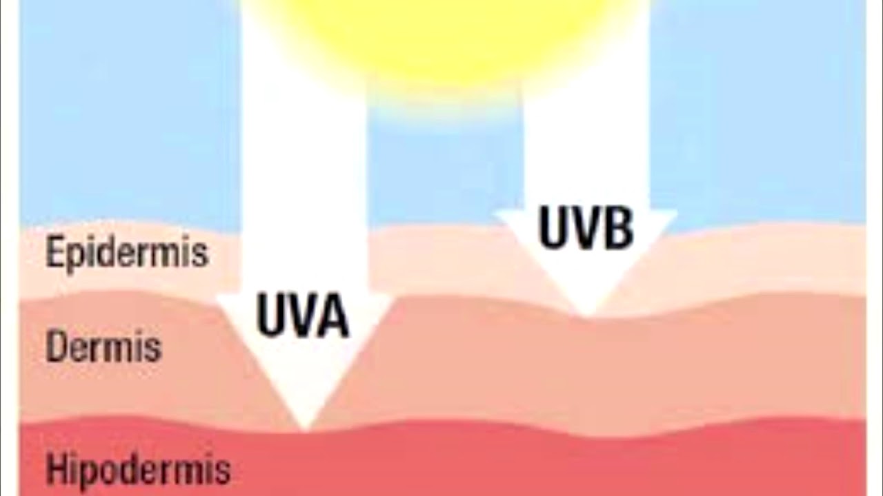 Какие действия оказывают на кожу uvb