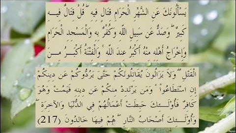القران الكريم سورة البقرة الاية  217