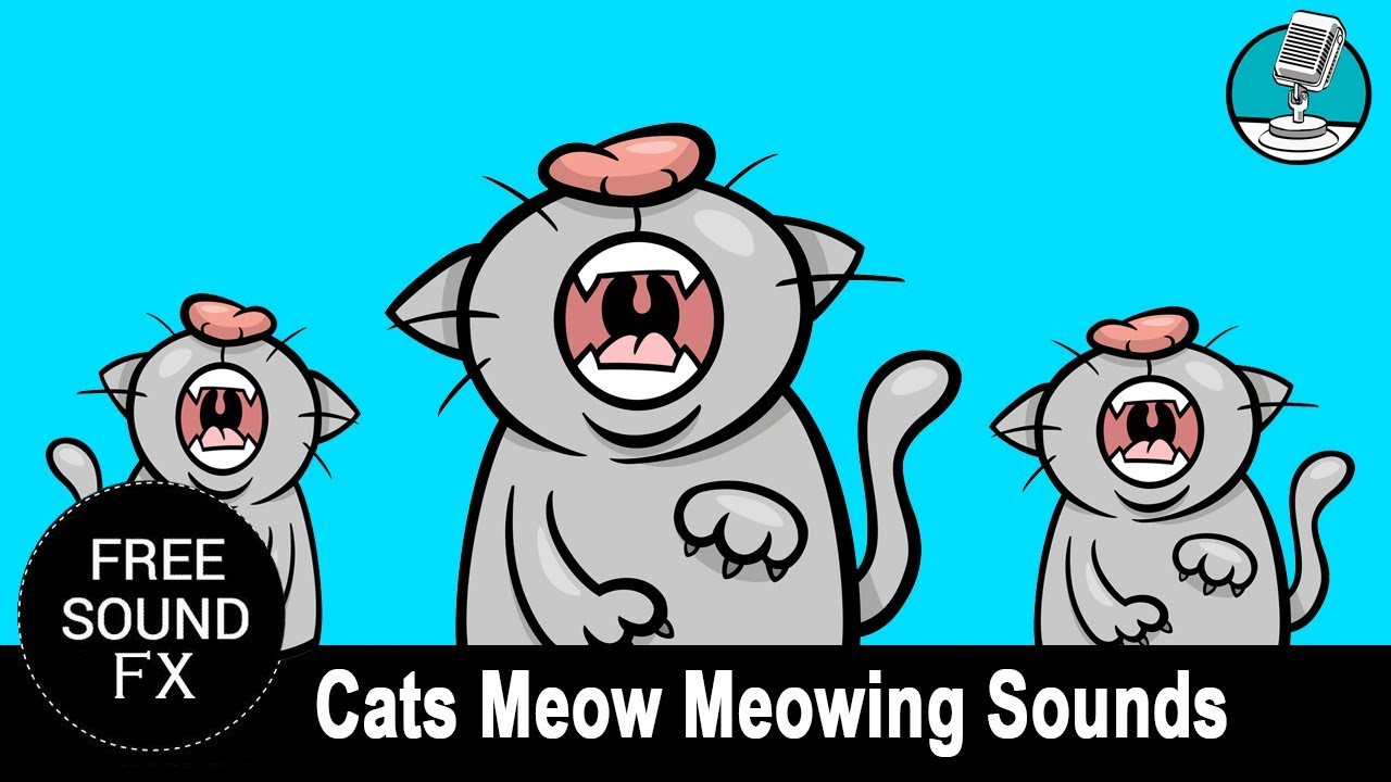 Meowpad звуки. Мяуинг. Картол Катс звуки. Growl Sound Comic. You are my Meow Meow.