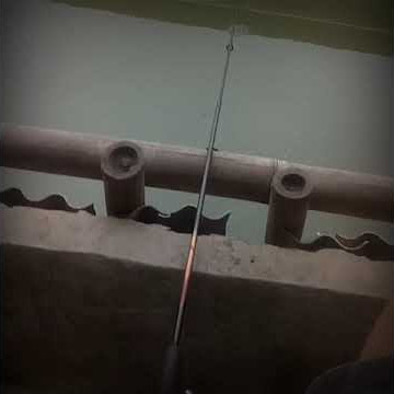 status wa dangdut juragan empang