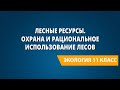 Лесные ресурсы. Охрана и рациональное использование лесов