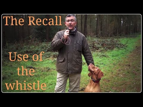 the-recall.-use-of-the-dog-whistle.