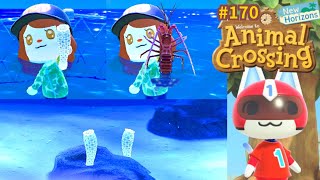  Nouvelles créatures octobre Corbeille de Vénus Langouste Câlin Animal Crossing New Horizons #170