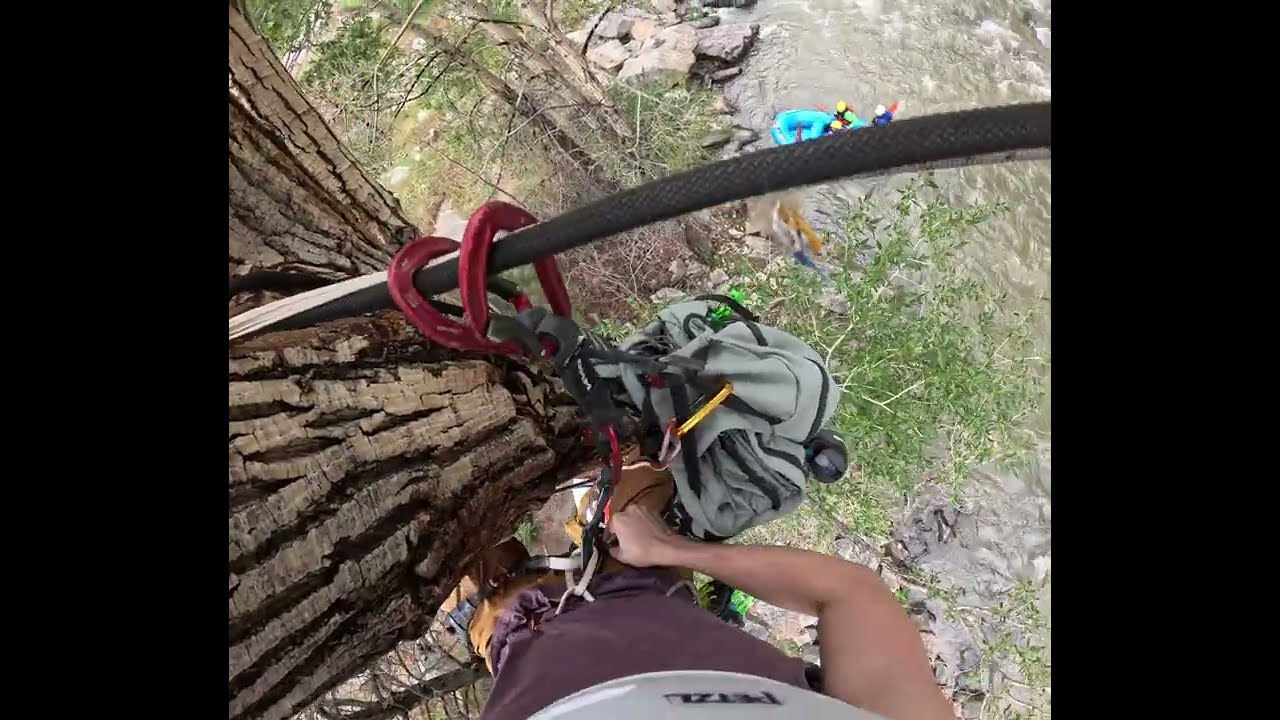 Approach to Creek Side (Tree Climb and Tyrolean Traverse) - Clear Creek Canyon