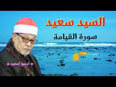 سورة القيامة الشيخ السيد سعيد