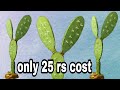 How to make cactus plant very easy