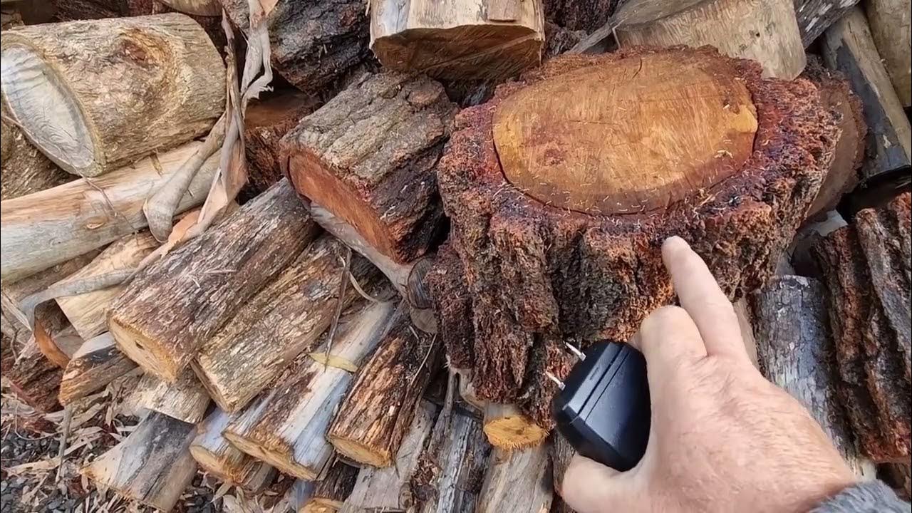 Stihl moisture meter and Scandia moisture meter shoot out YouTube