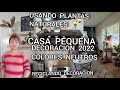 DECORANDO TODA LA CASA (PEQUEÑA)CON COLORES NEUTROS DESPUES DE NAVIDAD 2022 USANDO PLANTAS NATURALES