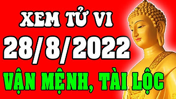 Tử vi 12 con giáp ngày 28/8/2022 - Xem Vận Mệnh, Tài Lộc, Công Việc, Sự Nghiệp, Tình Duyên, Sức Khỏe