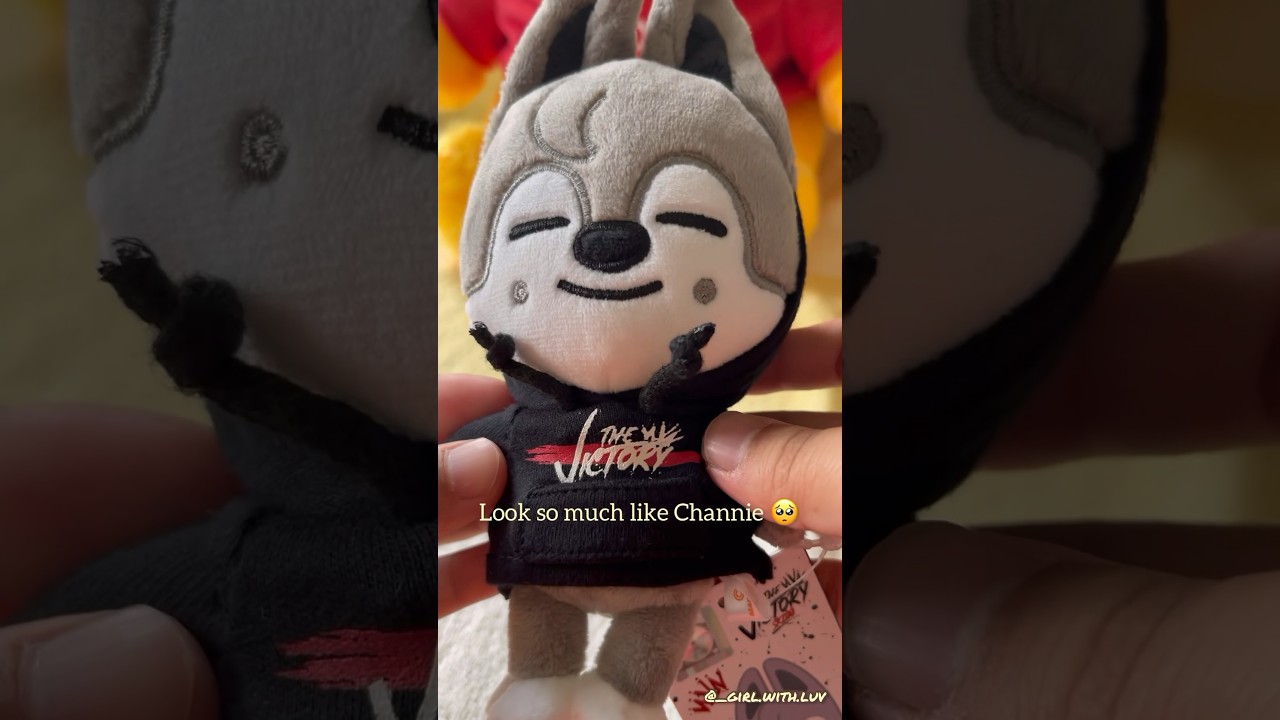 Wolfchan is here! 😆 15cm skzoo plushie 🐺 