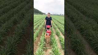 1लीटर तेल में 3 बीघा खेत की खुदाई कर देता है #power tiller #farming tools #short #viral #farming