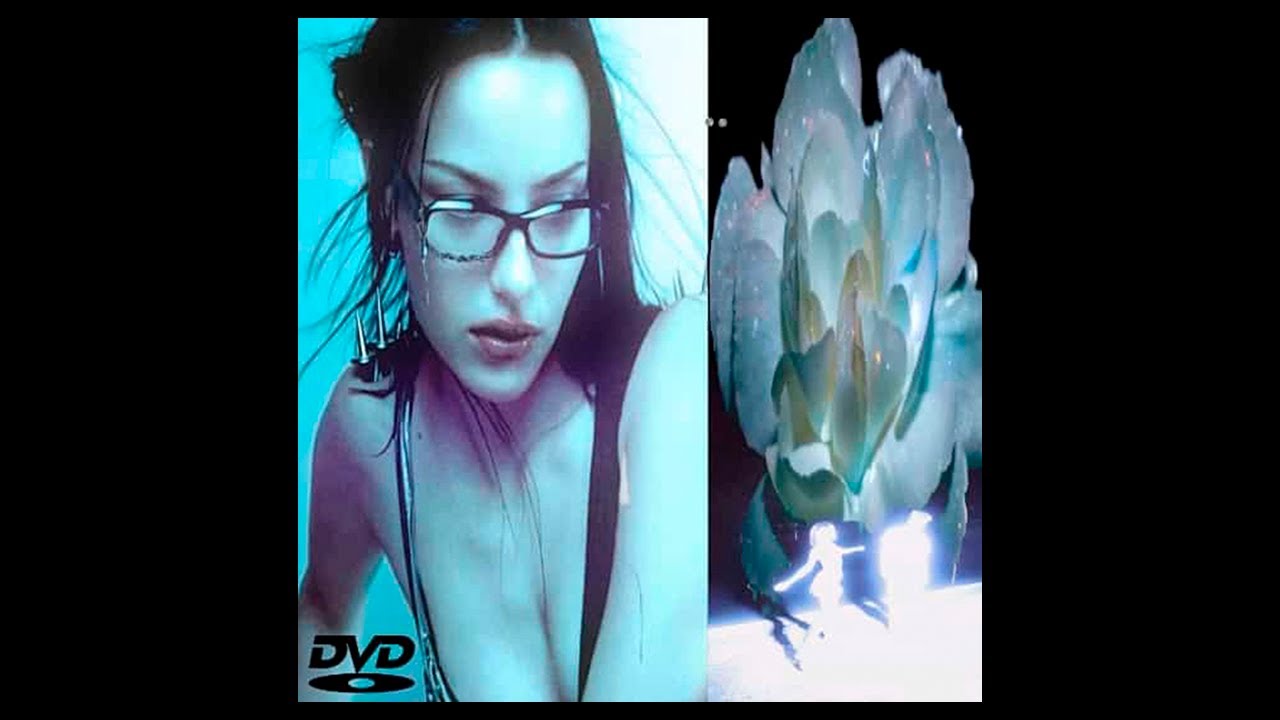 [FREE] Jerk Type Beat x Hoodtrap Type Beat x Xaviersobased - "child"