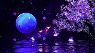 (No Ads) Instant Deep Rest In Minutes • Hypnotic Calm • Ease Stress • Sensitive Minds Deep Rest screenshot 3