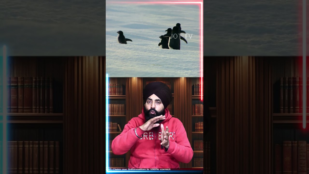 Penguins in -50°C 😱❄️  Survival Secrets Revealed 