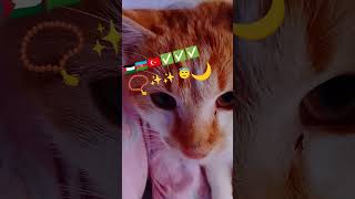 Simsiyahtır Gözleri Teni Gülpembe Saçında Dalgalar Var Boyunda Enge💖😇😀😄❤️