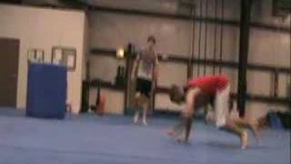Palm Flip/ Monkey Wall Flip