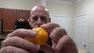 Pod Review A Huge Yellow Moruga Scorpion Grown By Randy Keaton From Keatley Farms Hot And Awesome