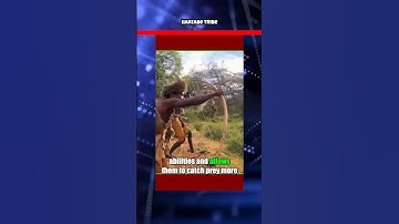 Hadzabe Tribe #shortvideo #facts #odvutfacts