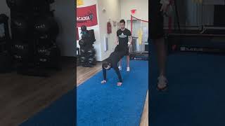 Wheelbarrow Walks With Protraction