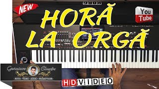 HORA LA ORGA | COLAJE HORE INSTRUMENTALE LA ORGA