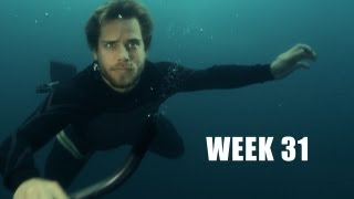 UWR Week 31 - 5DmkII vs EX1 Underwater!
NOW AVAILABLE!! Watch all five films on YouTube in cinema quality 4K - http://www.youtube.com/watch?v=tDlhuMt3bvo&list=PLR5g6lYZ0zRHQYfw7gYNEV8CoiKxGjZsR
Hey Guys - this week we talk you through out shootout between the Canon 5DmkII and the Sony EX1 underwater!
We also show you the final working banks of waterproof LED kino flo style lights we have been working on for the last few weeks.
Follow the project on theunderwaterrealm.com
and facebook.com/UnderWaterRealm
and the new twitter account twitter.com/UnderWaterRealm
Settings for the piece to camera are as follows:
Canon 7D
Superflat picture profile
Canon 24-70mm f/2.8 L @ 30mm
f/4.0
180 degree shutter angle
Gear used for the shootout:
Canon 5DmkII
16-35mm f/2.9 L @ 20mm
Variable Aperture
180 degree shutter angle
ISO 160
Neutral picture profile
Sony PMW-EX1
GATES housing
Variable Aperture
180 degree shutter angle
Gain 0dB
Cine4 picture profile
2 x 150W squid HIDs
2 x 50W HIDs
1 x custom LED baton
1 x Source Four spotlight
1 x 1kW PAR UWR Week 31 - 5DmkII vs EX1 Underwater!