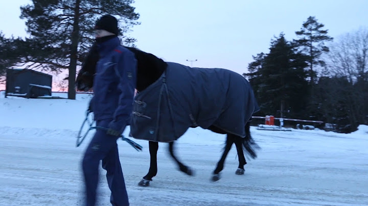 VK100: Fick 500 kilos skrämd häst över sig