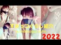 #すみっコぐらし紹介#すみっコぐらし2022#Japan anime