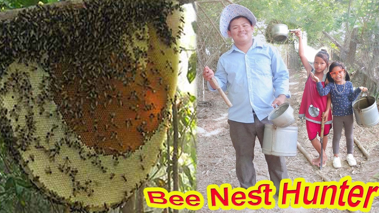 How to harvest the beehive in the bamboo forest | find minecraft in the forest - YouTube