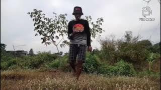 MIKAT BURUNG KAPASAN KEMIRI#Dapatdua