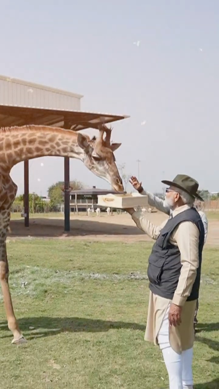 PM Modi's compassionate moments with rescued animals at Vantara in Jamnagar, Gujarat | #shorts