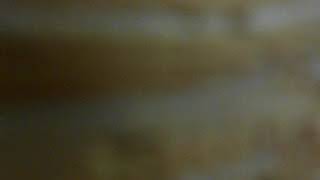 DSCN 002