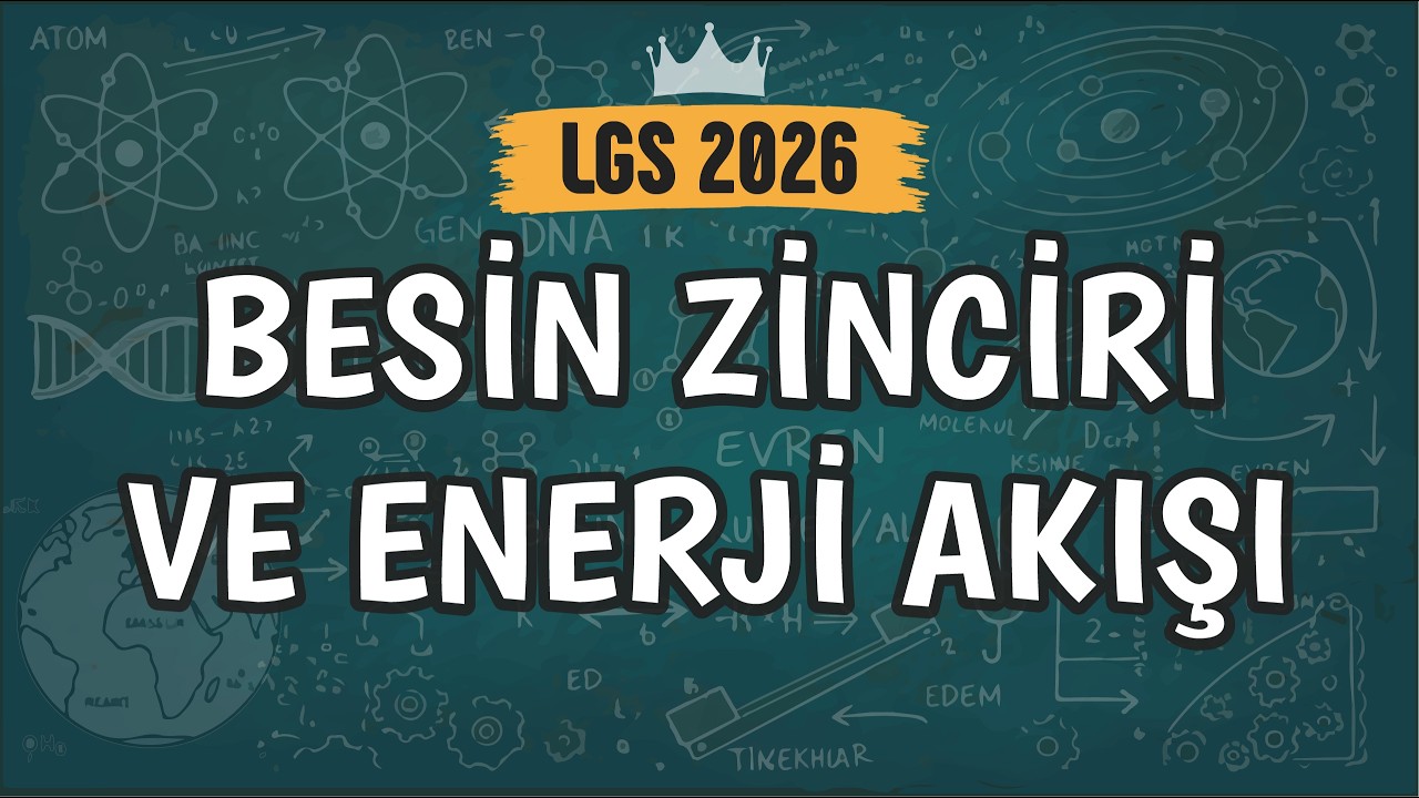 Besin Zinciri ve Enerji Akışı | 8. Sınıf #LGS2026
