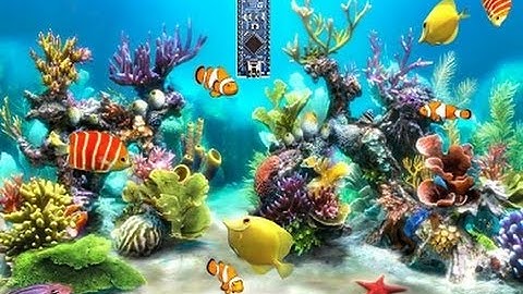 Arduino Automatic Fish Feeder Building and Explanation