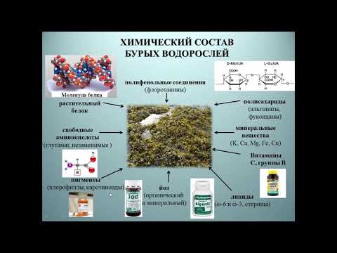 Морские водоросли - источник лекарств будущего от вирусных заболеваний