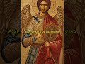 🙏 Dia 11 – Pureza de Coração