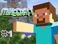 MINECRAFT PS3 - SURVIVAL - PART 1 - A WHOLE NEW WORLD