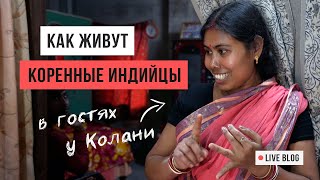 ИНДИЯ: как живут коренные индийцы / Маяпур / Аскеза в кедах